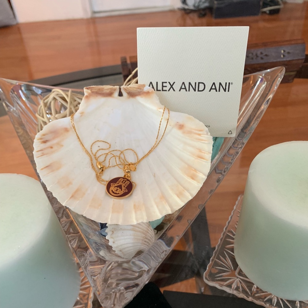Alex and Ani Hamsa Pendent Necklace
